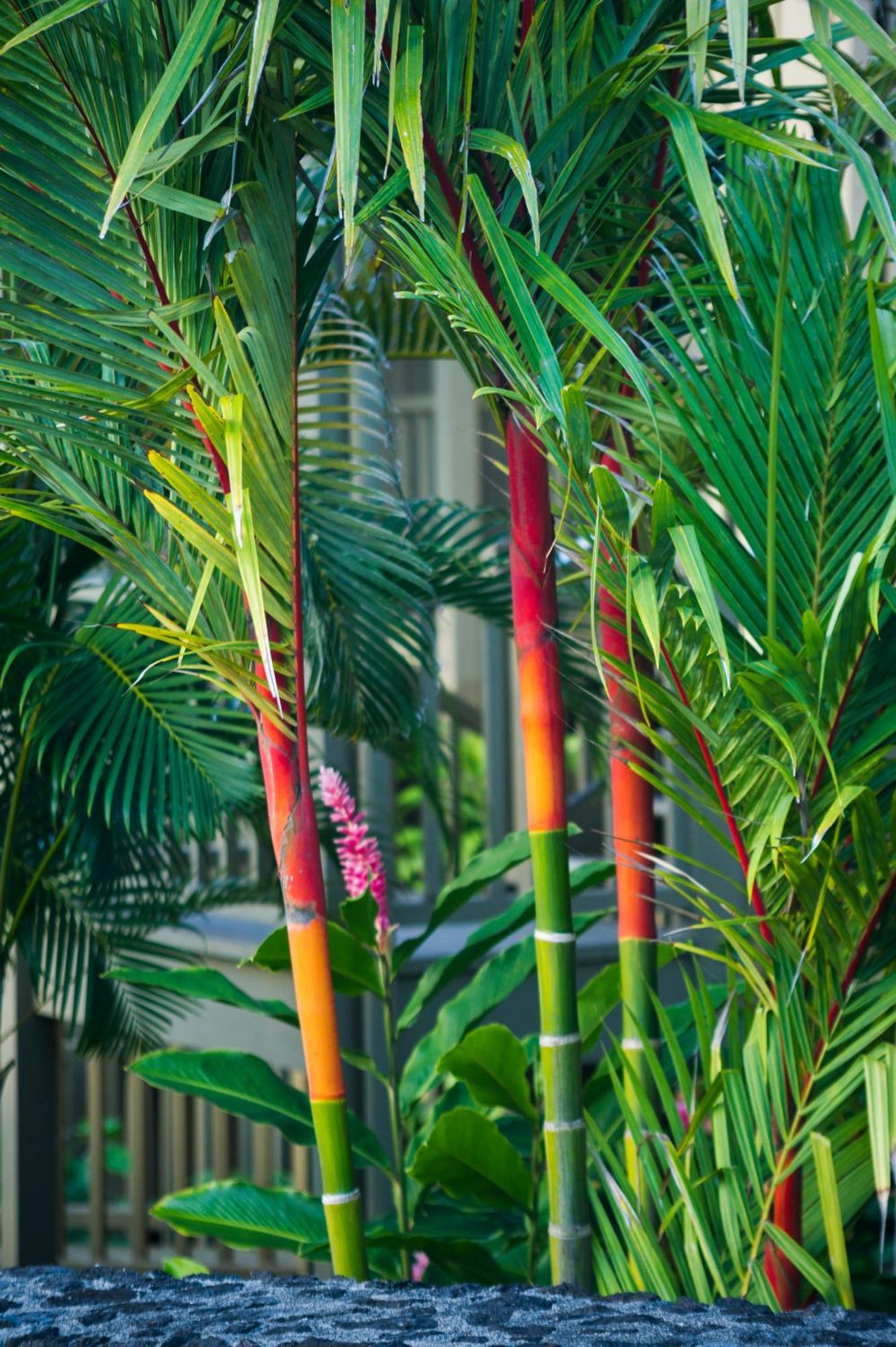 Hana Kai Maui - #106 Kuakahi Partial Oceanview Studio 外观 照片