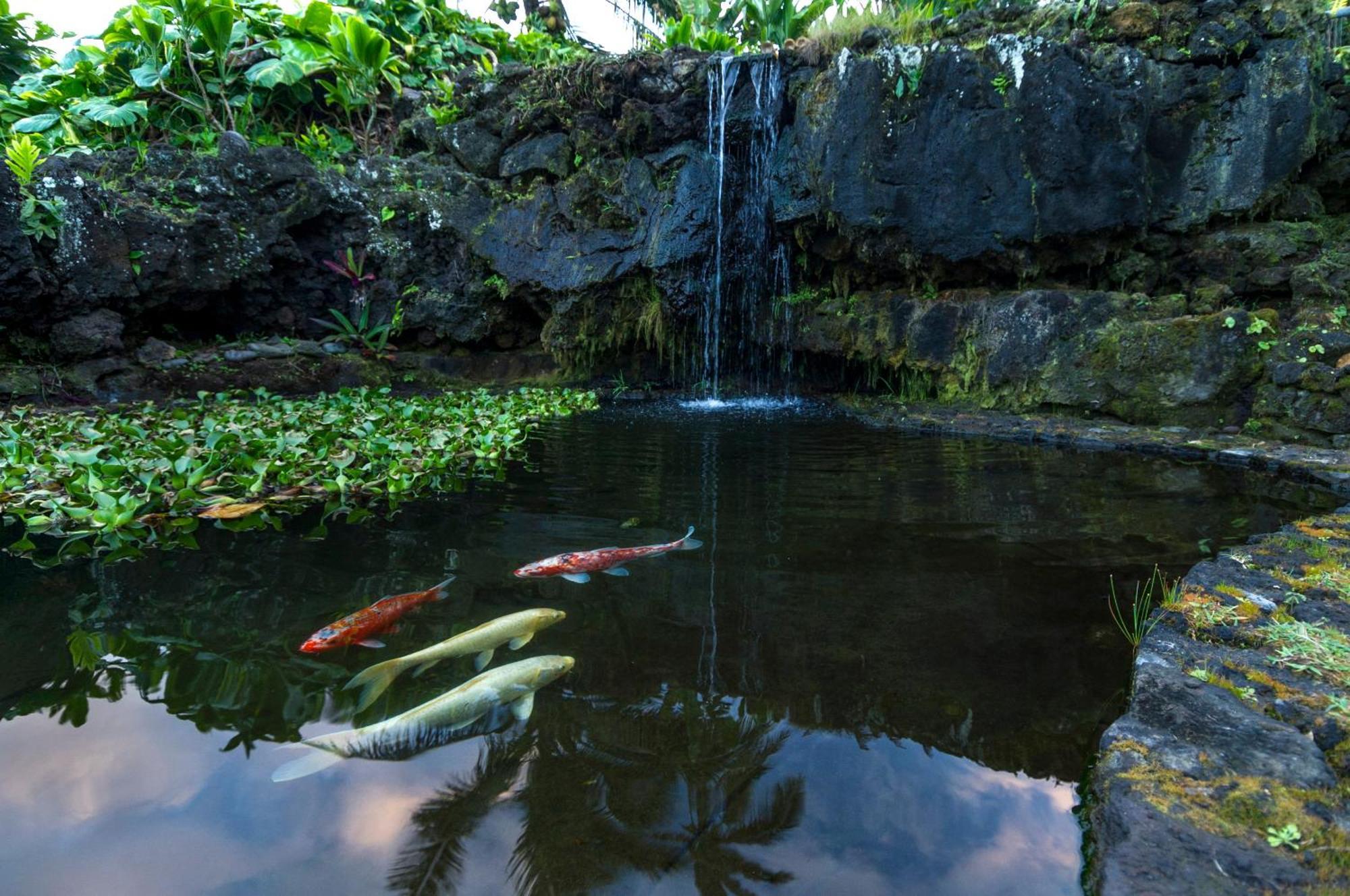 Hana Kai Maui - #106 Kuakahi Partial Oceanview Studio 外观 照片
